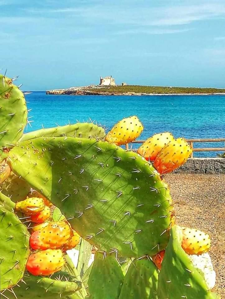 Вилла Casa Guttuso 1 Portopalo Di Capo Passero Экстерьер фото
